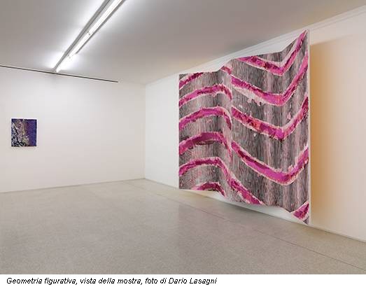 Geometria figurativa, vista della mostra, foto di Dario Lasagni