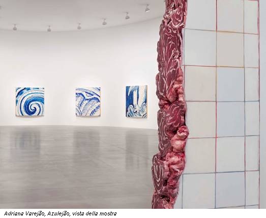 Adriana Varejão, Azulejão, vista della mostra