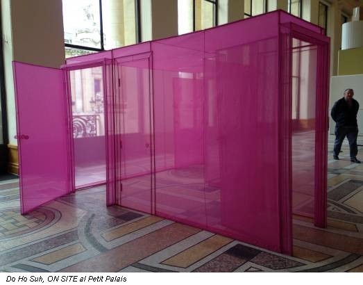 Do Ho Suh, ON SITE al Petit Palais