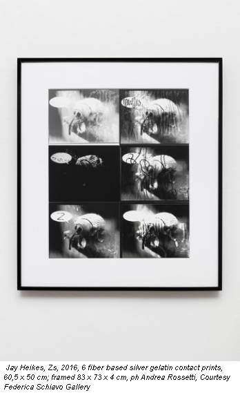Jay Heikes, Zs, 2016, 6 fiber based silver gelatin contact prints, 60,5 x 50 cm; framed 83 x 73 x 4 cm, ph Andrea Rossetti, Courtesy Federica Schiavo Gallery