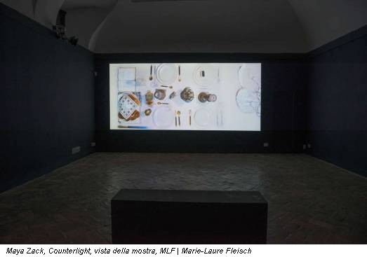 Maya Zack, Counterlight, vista della mostra, MLF | Marie-Laure Fleisch