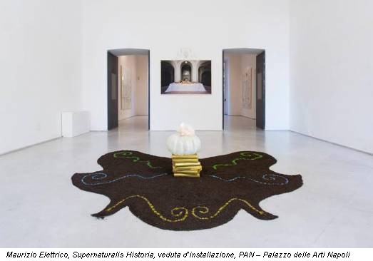 Maurizio Elettrico, Supernaturalis Historia, veduta d’installazione, PAN – Palazzo delle Arti Napoli