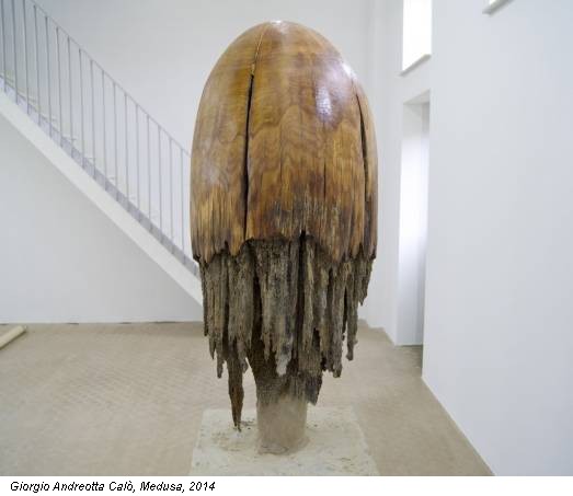 Giorgio Andreotta Calò, Medusa, 2014