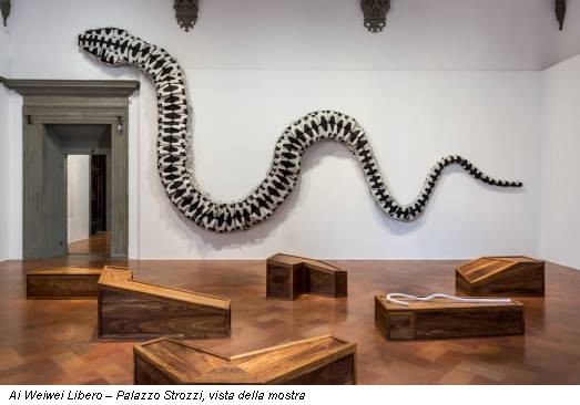 Ai Weiwei Libero – Palazzo Strozzi, vista della mostra