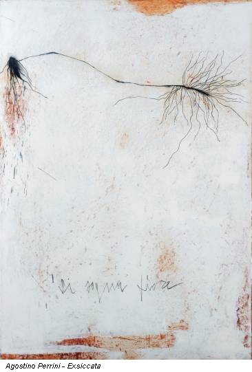 Agostino Perrini - Exsiccata