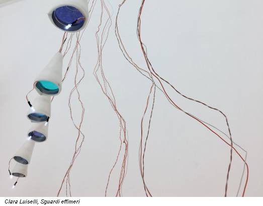 Clara Luiselli, Sguardi effimeri