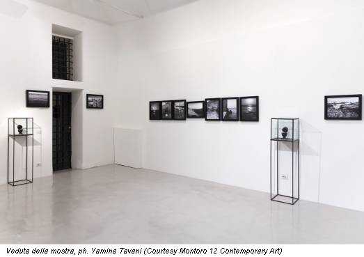 Veduta della mostra, ph. Yamina Tavani (Courtesy Montoro 12 Contemporary Art)