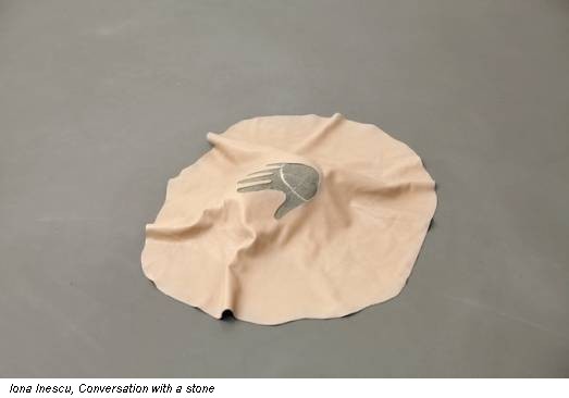 Iona Inescu, Conversation with a stone