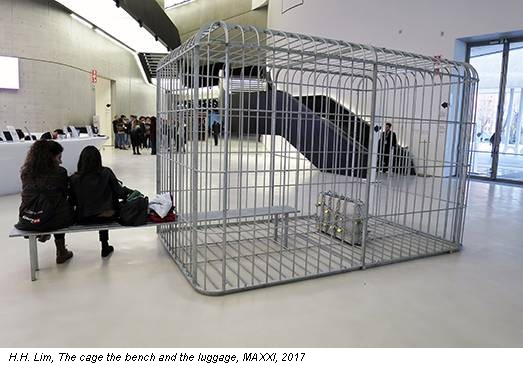 H.H. Lim, The cage the bench and the luggage, MAXXI, 2017