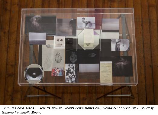 Sursum Corda. Maria Elisabetta Novello. Veduta dell’installazione, Gennaio-Febbraio 2017. Courtesy Galleria Fumagalli, Milano