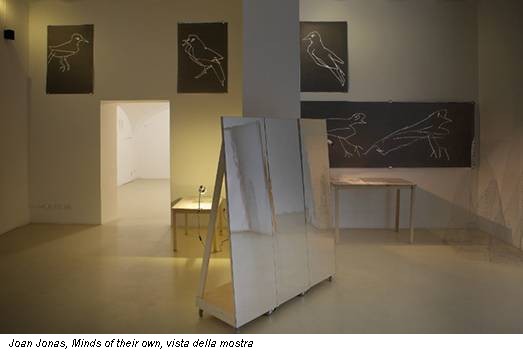 Joan Jonas, Minds of their own, vista della mostra