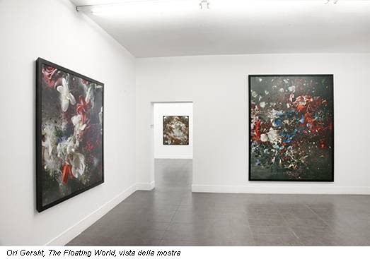 Ori Gersht, The Floating World, vista della mostra