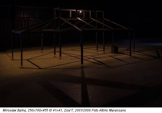 Miroslaw Balka, 250x700x455 Ø 41x41, Zoo/T, 2007/2008 Foto Attilio Maranzano