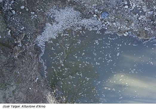 José Yaque. Alluvione d’Arno