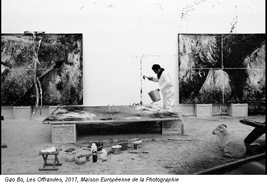 Gao Bo, Les Offrandes, 2017, Maison Européenne de la Photographie
