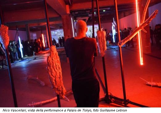 Nico Vascellari, vista della performance a Palais de Tokyo, foto Guillaume Lebrun
