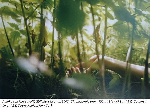 Annika von Hausswolff, Still life with armi, 2002, Chromogenic print, 101 x 127cm/5.9 x 4.1 ft, Courtesy the artist & Casey Kaplan, New York