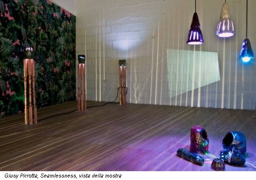 Giusy Pirrotta, Seamlessness, vista della mostra