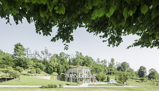 Independent Collections