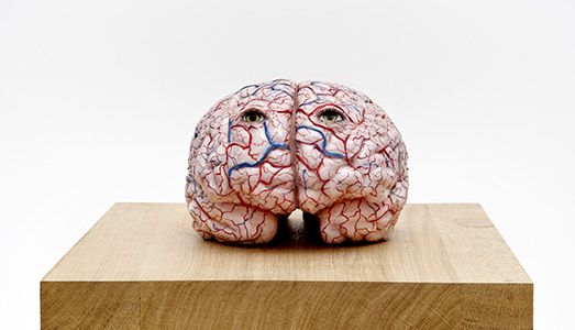 A spasso con il cervello