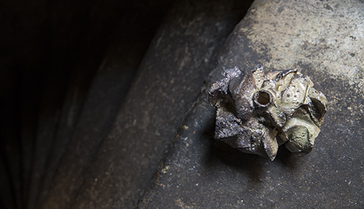 Shozo Michikawa, natura e scultura