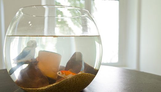 Valerio Nicolai e l’“effetto matrioska” Valerio Nicolai e l’“effetto matrioska”