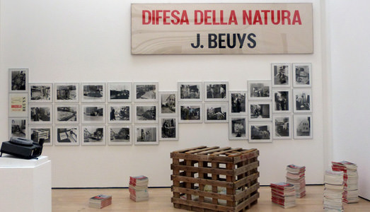 Fino al 31.I.2016  | Nature. Arte ed ecologia | Galleria Civica, Trento