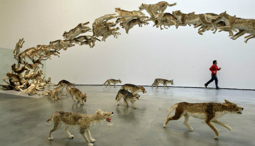 Cina e Italia condividono lo stesso A.P.I.C.E. Una nuova associazione a supporto dell’integrazione, con modelli condivisi di sviluppo