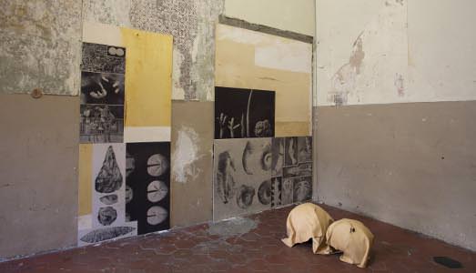 Fino al 20.I.2015 | Petra Feriancova | Fondazione Morra Greco, Napoli