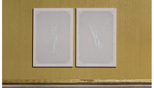 Fino al 15.III,2015 | Daniela De Lorenzo, Pari passo | Villa Mansi, Segromigno in Monte Fino al 15.III,2015 | Daniela De Lorenzo, Pari passo | Villa Mansi, Segromigno in Monte