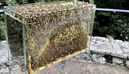 Fino al 25.II.2017 | Anthropocene | Riccardo Crespi, Milano Fino al 25.II.2017 | Anthropocene | Riccardo Crespi, Milano