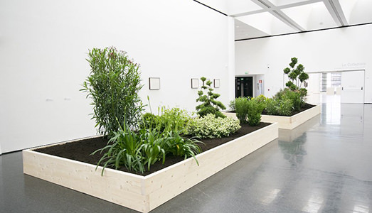 …Per vedere tutto il mondo! …Per vedere tutto il mondo!