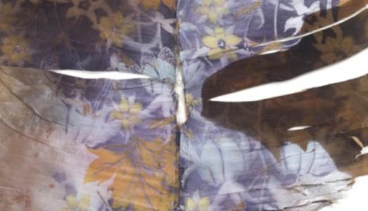 Fino al 16.I.2016 | Vitrine, Luca Trevisani, Possibilità  | GAM, Torino