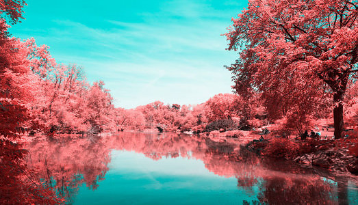 Il cuore rosso di Manhattan | Il cuore rosso di Manhattan |