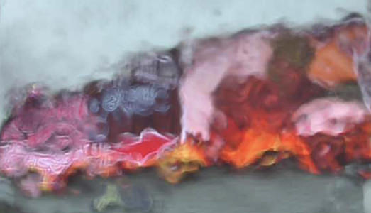 Irene Fenara e il Grande Fratello