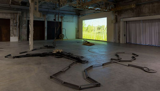 Lo shuttle, le galline e un viaggio impossibile