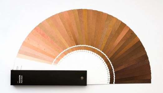 I colori del razzismo