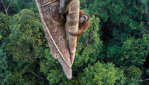 La natura è fotogenica a Milano La natura è fotogenica a Milano