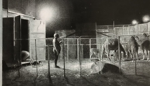 Emanuele Giuffrida, così è (se vi pare)