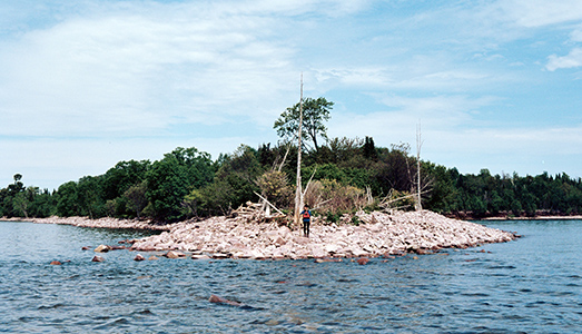 Su Rabbit Island | con Alice Pedroletti Su Rabbit Island | con Alice Pedroletti
