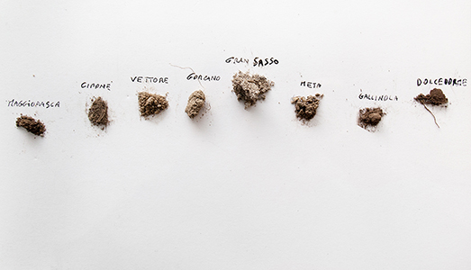 Il cammino di Angelo Bellobono