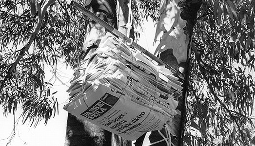 Fino al 21.II.2016 | Earthrise | PAV, Torino Fino al 21.II.2016 | Earthrise | PAV, Torino