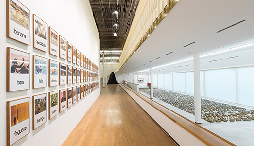 Il Paese “carnale”