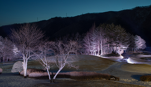 Un “prospectum” tricolore. In Corea