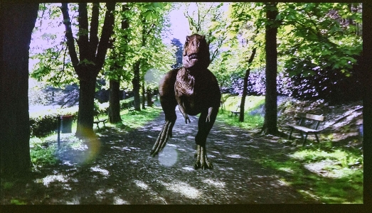 Ricordare il presente. A Villa delle Rose, la mostra site specific di Catherine Biocca