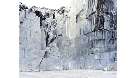 Fino al 6.I.2019.  | Silvia Camporesi. Mirabilia, il bello è nella natura | Maria Livia Brunelli Home Gallery, Ferrara