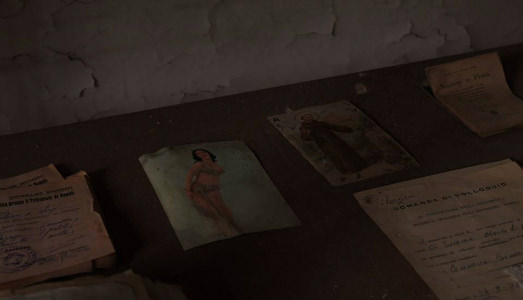 Nell’Ex Carcere Filangieri le piante selvatiche hanno radici resistenti