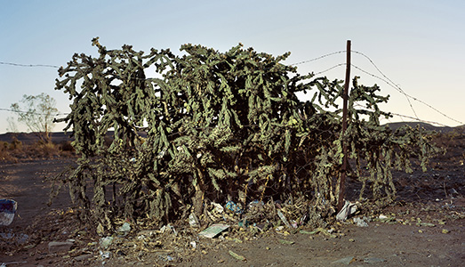 Cinque per l’Africa.  | Con Fiscaletti & Grobler