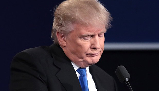 Il Congresso blocca Trump  | su NEA e NEH