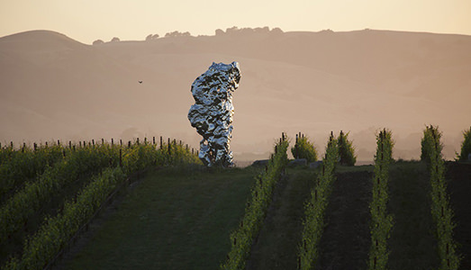 Superbig dell’arte nella vigna